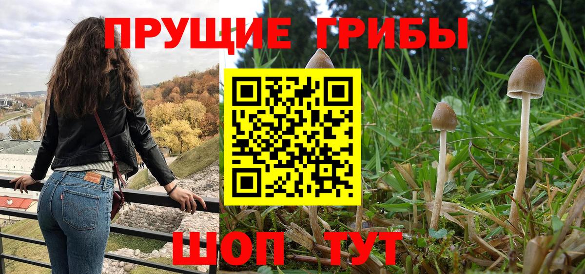 Галлюциногенные грибы MAGIC MUSHROOMS Губкинский