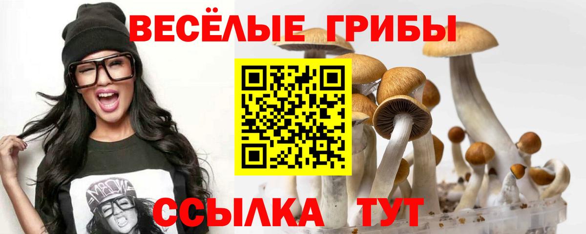 Псилоцибиновые грибы ЛСД  Вход с VPN  Губкинский  Псилоцибиновые грибы прущие грибы 